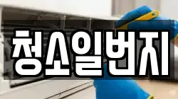 청소일번지