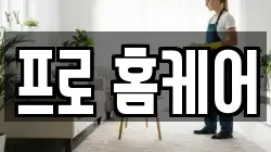 프로 홈케어