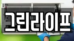 그린라이프