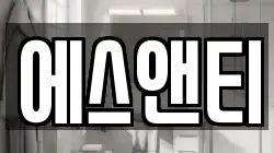 에스앤티