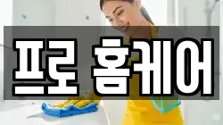 프로 홈케어