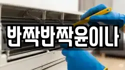 반짝반짝윤이나