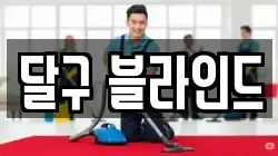 달구 블라인드