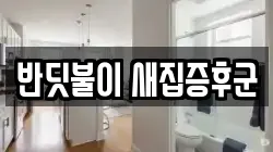 반딧불이 새집증후군