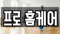 프로 홈케어