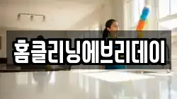 홈클리닝에브리데이