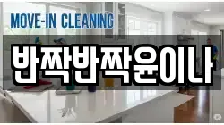반짝반짝윤이나