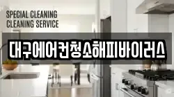 대구에어컨청소해피바이러스