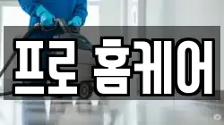 프로 홈케어