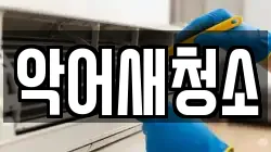 악어새청소