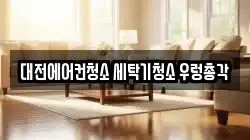 대전에어컨청소 세탁기청소 우렁총각