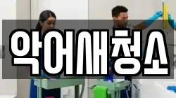 악어새청소