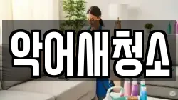 악어새청소
