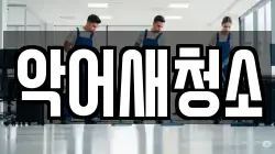 악어새청소