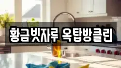 황금빗자루 옥탑방클린