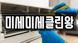 미세미세클린왕