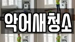 악어새청소