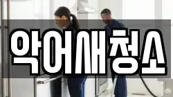 악어새청소