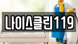나이스클린119