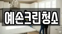 예손크린청소