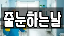줄눈하는날