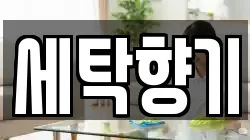세탁향기