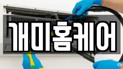 개미홈케어