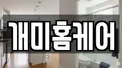 개미홈케어