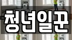 청년일꾼