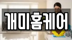 개미홈케어