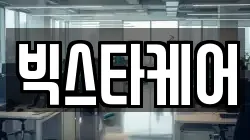 빅스타케어