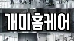 개미홈케어