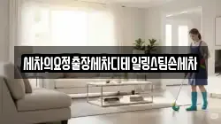 세차의요정출장세차디테일링스팀손세차