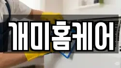 개미홈케어