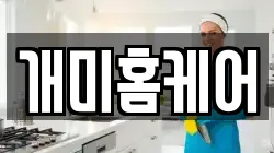 개미홈케어