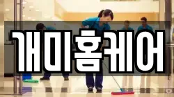 개미홈케어