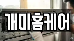 개미홈케어