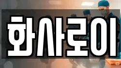 화사로이
