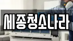 세종청소나라
