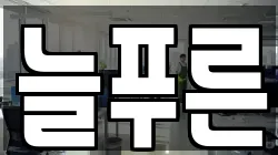 늘푸른