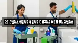 오피스텔청소.원룸청소.투룸청소.다가구청소.아파트청소.당일청소