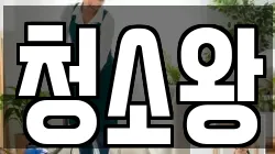청소왕