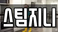스팀지니