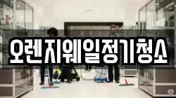 오렌지웨일정기청소