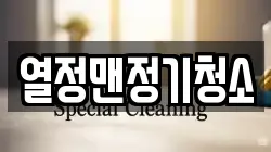 열정맨정기청소