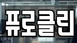 퓨로클린