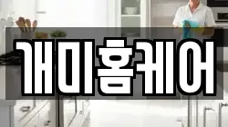 개미홈케어