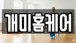 개미홈케어