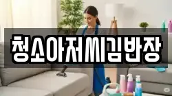 대전광역시 중구 대흥동 청소,입주청소,사무실청소,에어컨청소,특수청소,상가청소,거주청소,유품정리