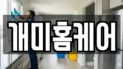 개미홈케어